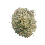 Tilia (Tilia europaea)