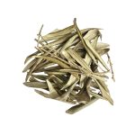 Oliveira, Folhas (Olea europaea)