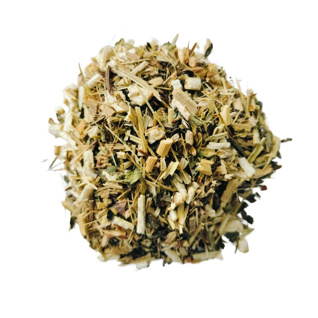 Design sem nome (2) Equinácia (Echinacea purpurea L.) - Image 1