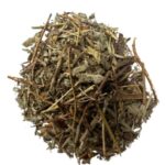 Calafito (Hypericum tomentosum)