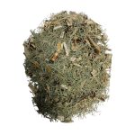 Cavalinha (Equisetum Arvense)