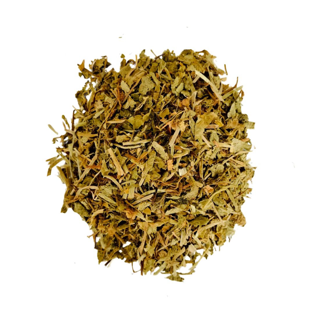 centelha asiatica Centelha Asiática (Centella asiatica) - Image 1