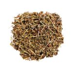 Dente de Leão (Taraxacum officinale)