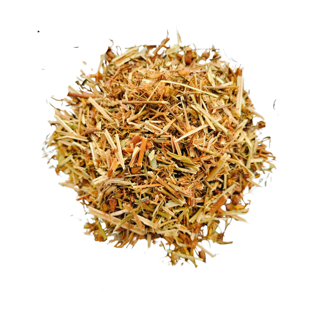 hipericao kneip Hipericão Kneip (Hypericum perforatum L.) - Image 1