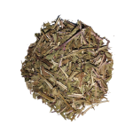 Hortelã-Pimenta (Mentha x piperita L.)