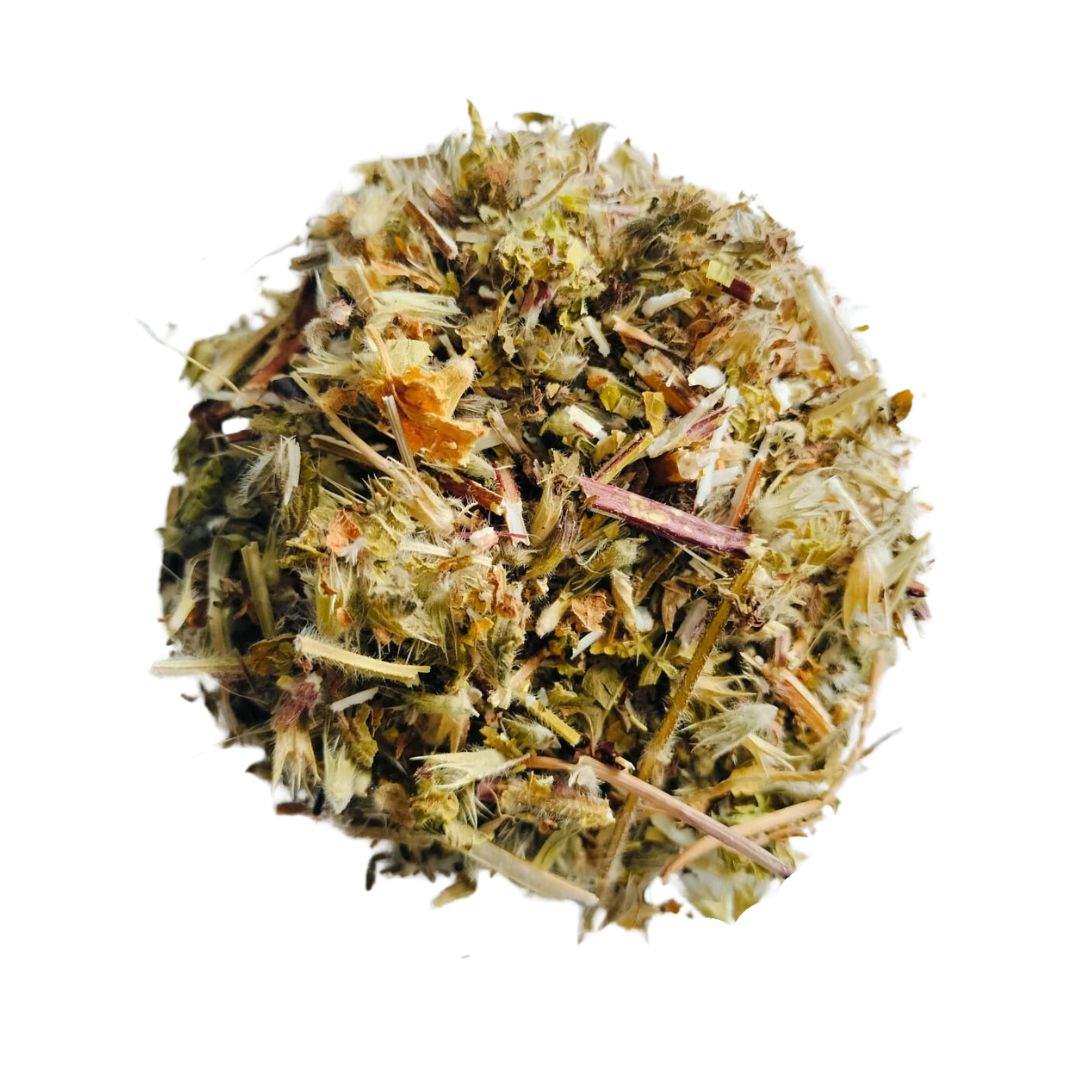 urtiga branca Urtiga Branca (Lamium album L.) - Image 1