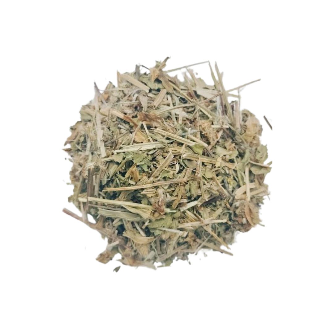 tanchagem planta Tanchagem Folhas (Plantago major L.) - Image 1