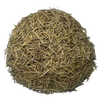 Alecrim (Rosmarinus officinalis)